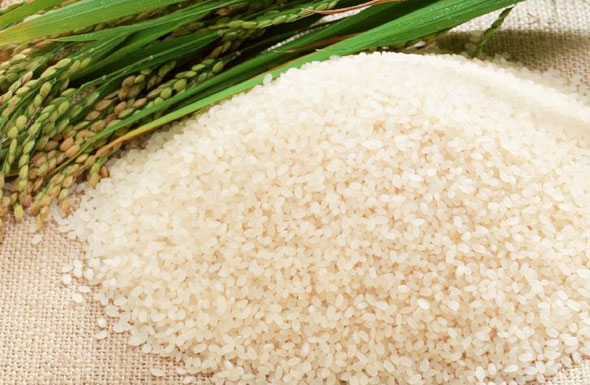 北(běi)京高(gāo)端網站(zhàn)建設公司-中國(guó)優質農(nóng)産品開(kāi)發服務協會(huì)農(nóng)産品加工(gōng)業(yè)分(fēn)會(huì)