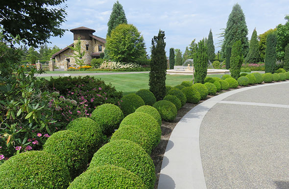 北(běi)京高(gāo)端網站(zhàn)建設公司-藝林(lín)盛世